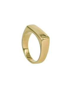 Arock TIM Ring Guld