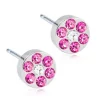 Blomdahl Örhängen Brilliance Plenary Rose Crystal 5 mm 15‑12166‑42