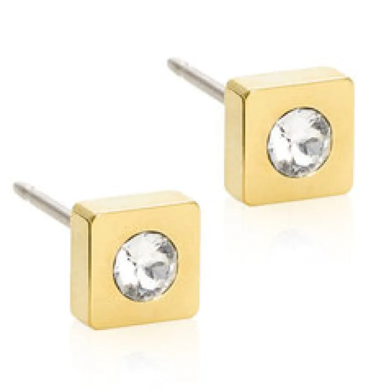 Blomdahl Örhängen Petite Square Crystal 15‑1319‑01