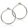 Blomdahl Örhängen Safety Ear Ring 12 mm 15‑1251‑00