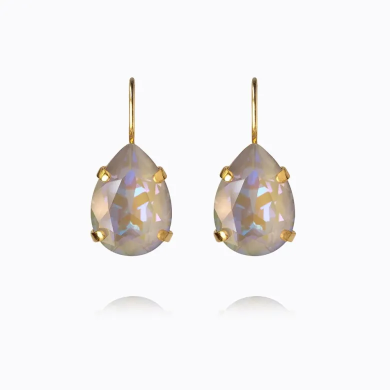 Caroline Svedbom Mini Drop Clasp Örhängen/ Serene Delite (Guld)