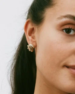 Edblad Corazza Studs S Örhängen Guld