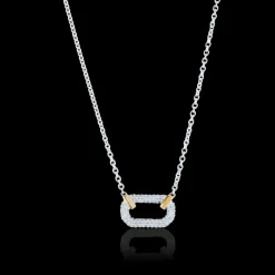 Gynning Jewelry Healing Source Halsband (Guld/Silver)
