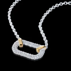 Gynning Jewelry Healing Source Halsband (Guld/Silver)