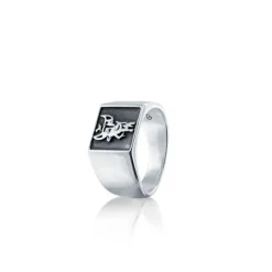 Gynning Jewelry Protect Me Ring (Mega kampanj)