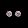 Lily And Rose Miss Sofia Örhängen– Vintage Rose 61078 (Silver)