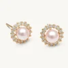 Lily And Rose Colette Pärl Stud Örhängen – Rosaline (Guld) 65091