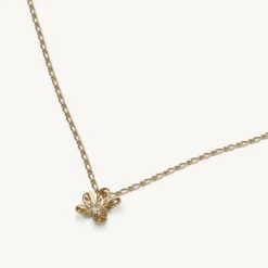 Lily and Rose Petite Eponine Halsband Guld – (241201)