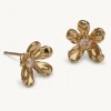 Lily and Rose Petite Eponine Stud Örhängen Guld – (262393)