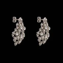 Lily And Rose Örhängen Alice – Crystal 60571