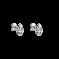 Lily And Rose Örhängen Amelie Crystal 60782