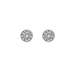 Lily And Rose Örhängen Petite Miss Sofia Crystal (Silver) 62292