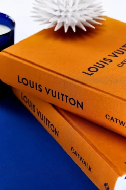 Louis Vuitton Catwalk