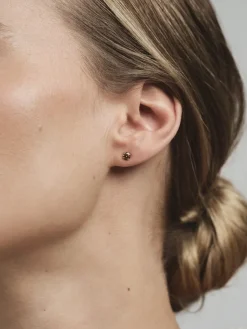 Mockberg Jolie Studs Örhängen Medium Guld – Coffee