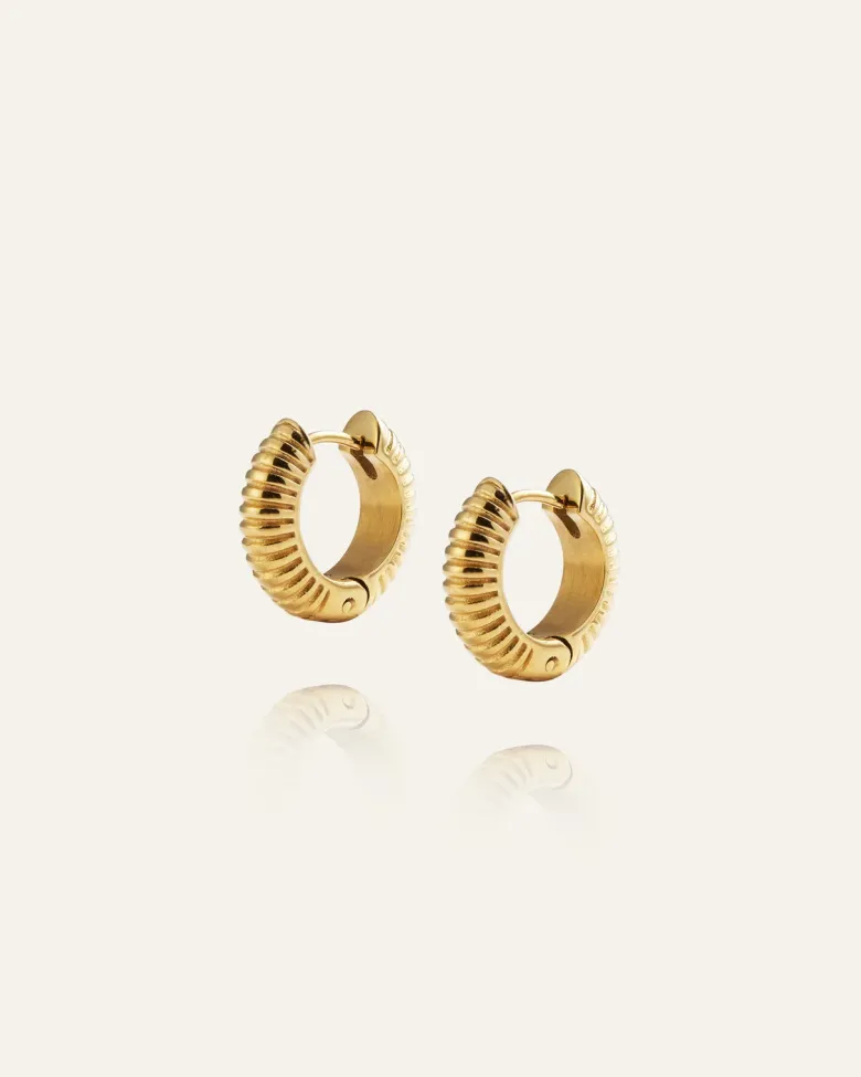 Mockberg Ribbed Örhängen Medium Guld