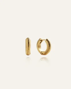 Mockberg Ribbed Örhängen Medium Guld