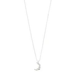 PILGRIM Remy Halsband Silver 672416801