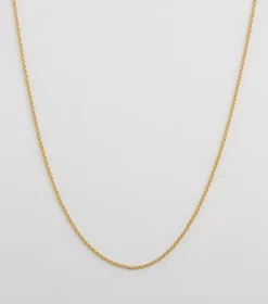 Syster P Beloved Lång Rolo Kedja Guld
