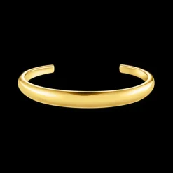 Thomas Sabo Bangle Guld EC0030-001-21