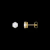 Thomas Sabo Örhängen Guld H2300-414-14