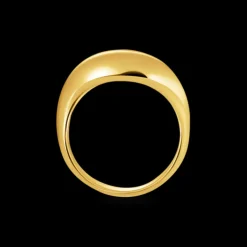Thomas Sabo Ring Guld TR2473-001-21