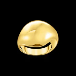 Thomas Sabo Ring Guld TR2470-413-39